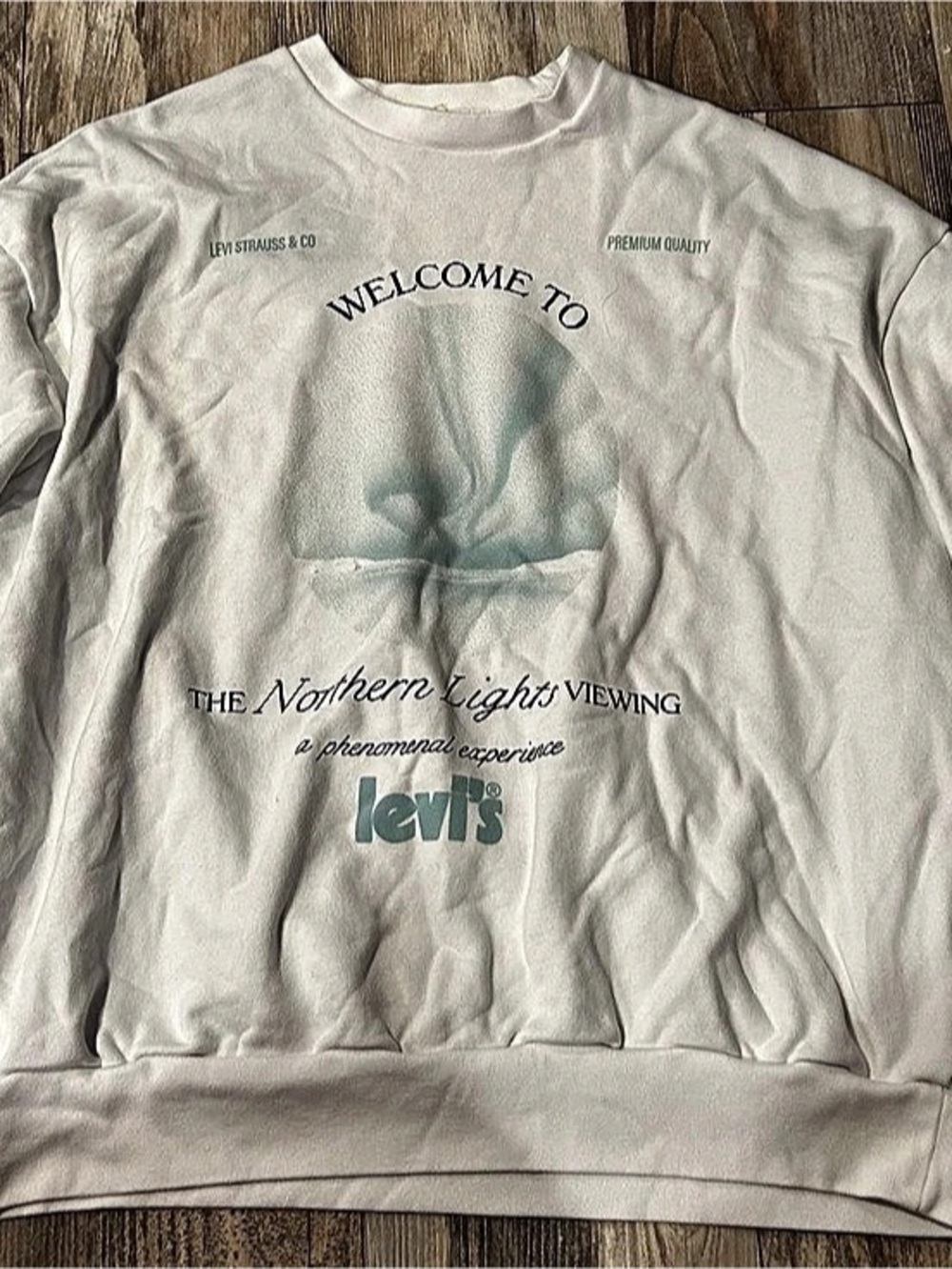 Levi's Welcome to The Northern Lights Viewing Graphic Crewneck Sweatshirt